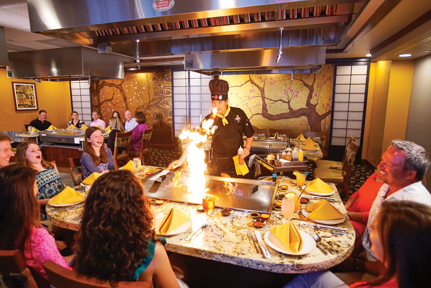 shima-banner